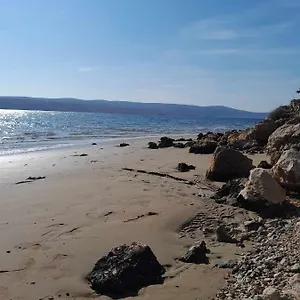 Salvia , Starigrad Paklenica Croatie